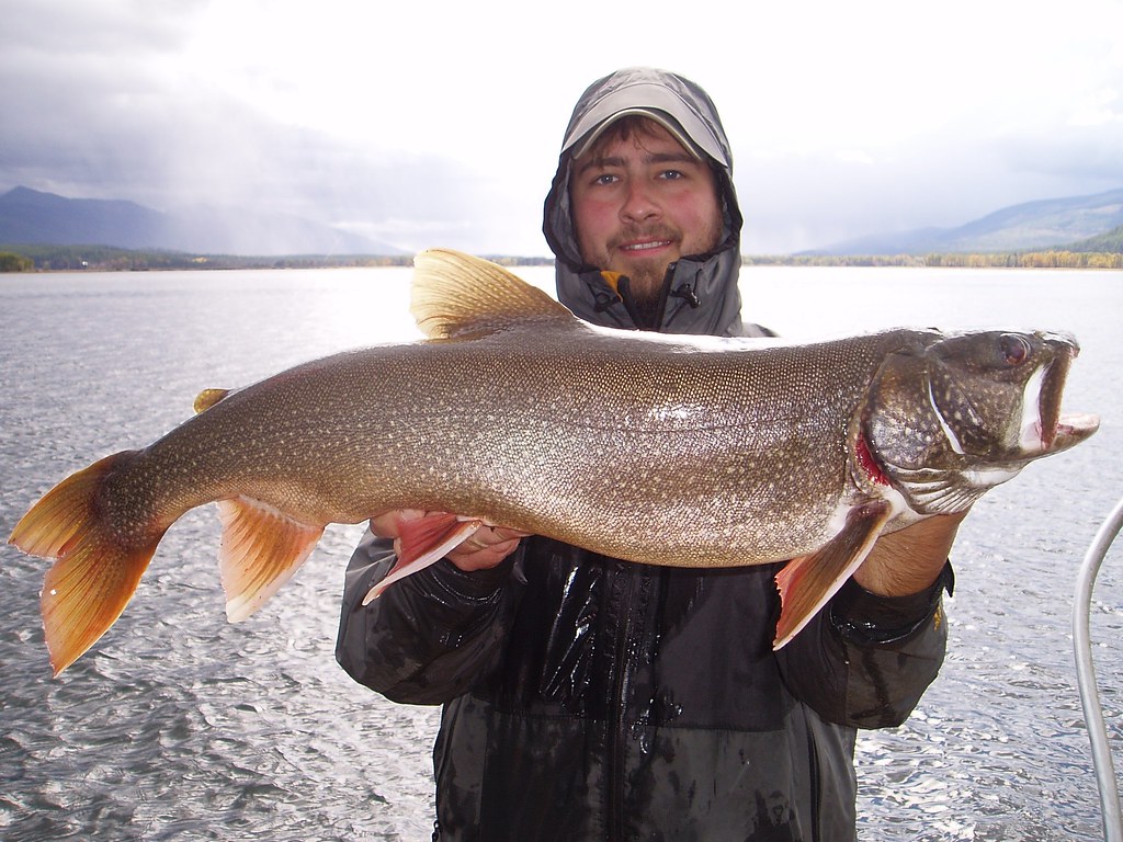 Best Lake Trout Lures 2025