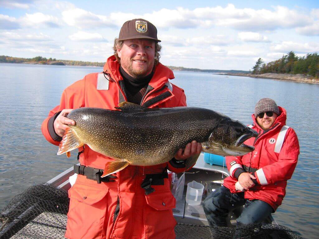 best lake trout jigging lures