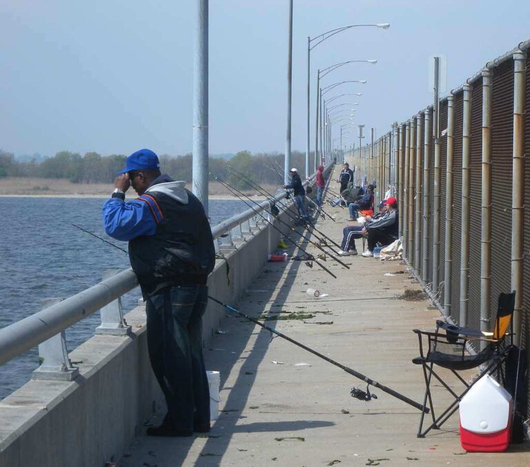 Pier Fishing