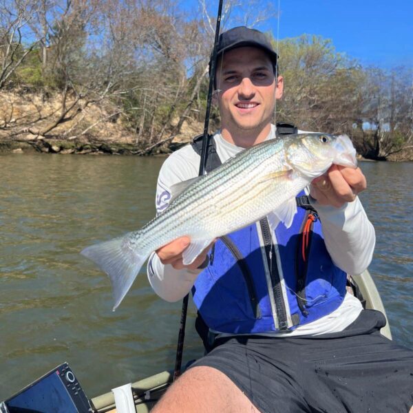 BEST BOBBER FOR STRIPER