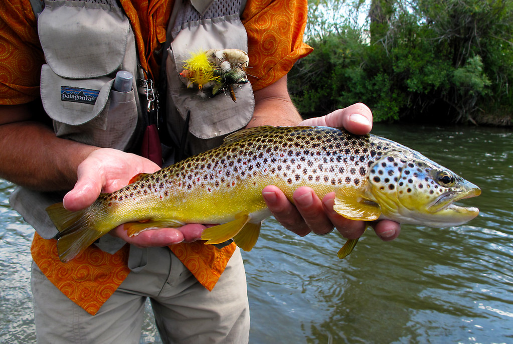 DIY Barbless lures