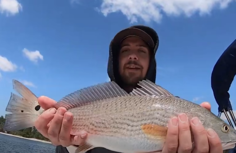 Best Red Drum spinning rod and reel Redfish