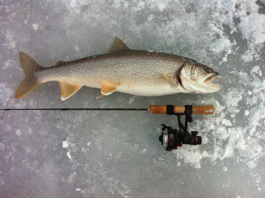 best lake trout ice fishing lures