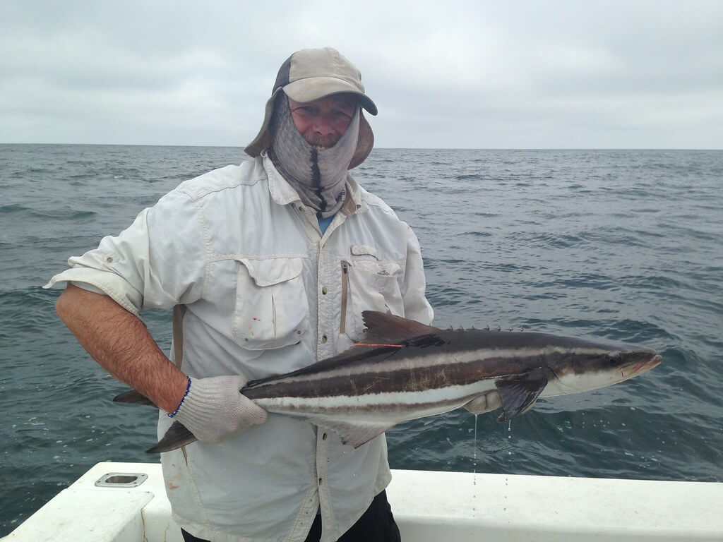 best trolling lures for cobia